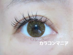 クチュール ミラージュ(サニーヘーゼル)の口コミ画像/室内での見え方